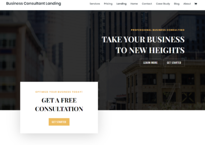 Business Consultant Landing Page